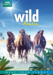 Wild Arabia